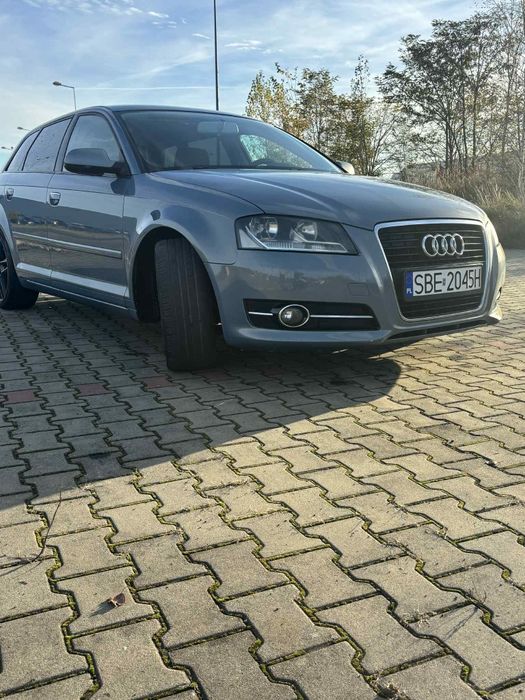 Audi A3 8p 1.6 tdi