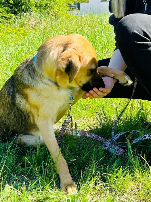 Kochana Cola rozgląda się za domem