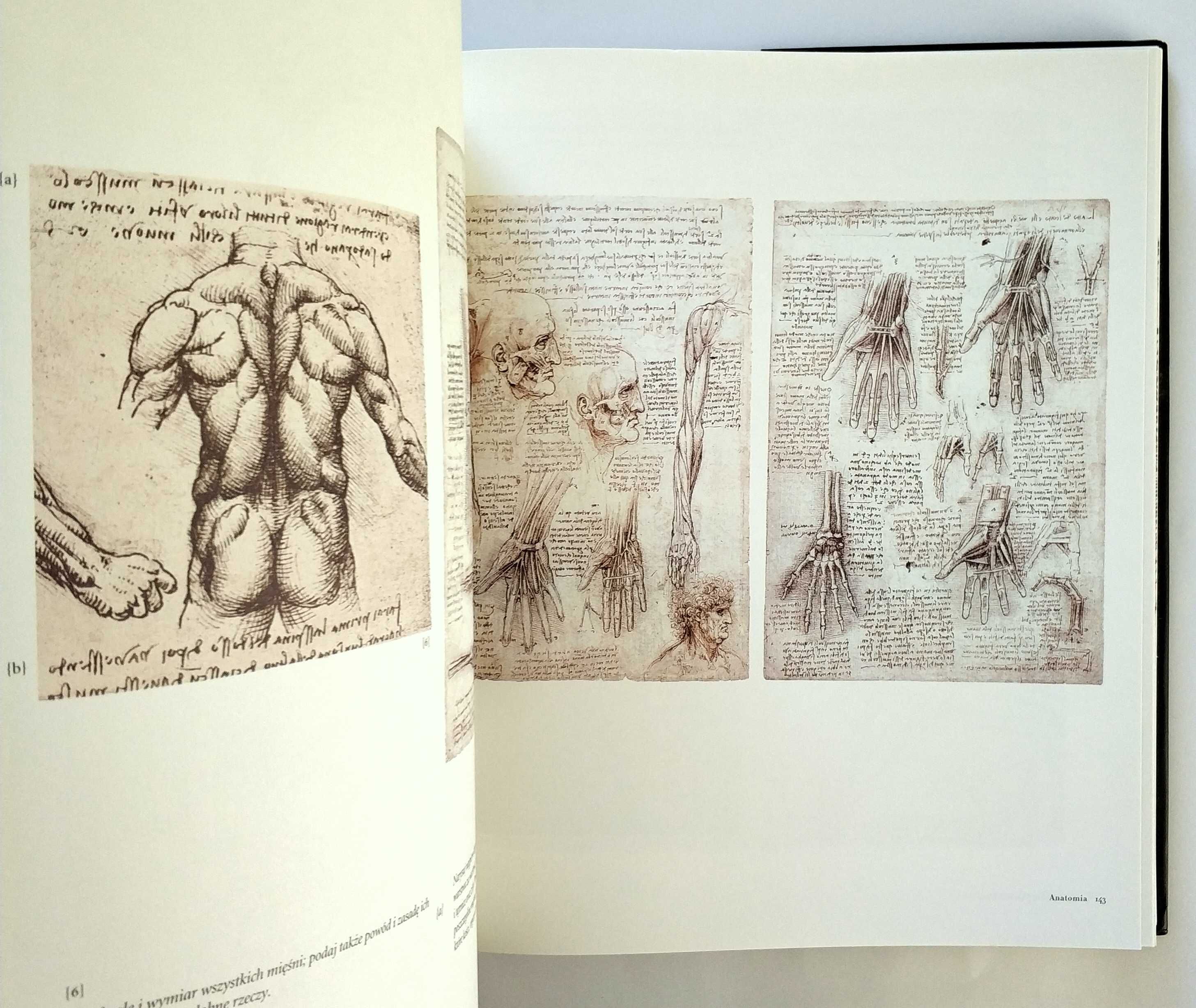 LEONARDO DA VINCI, Szkice i zapiski, Anna Suh, Duży format, UNIKAT!