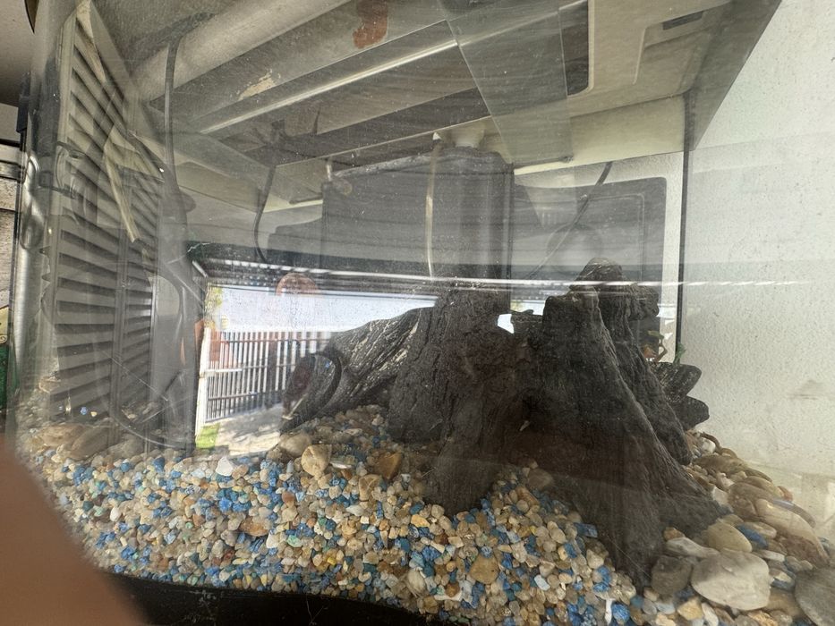 Aquário para peixes