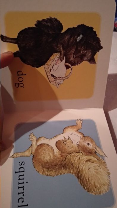 книга английский детская Animals With Peter Rabbit by Beatrix Potter