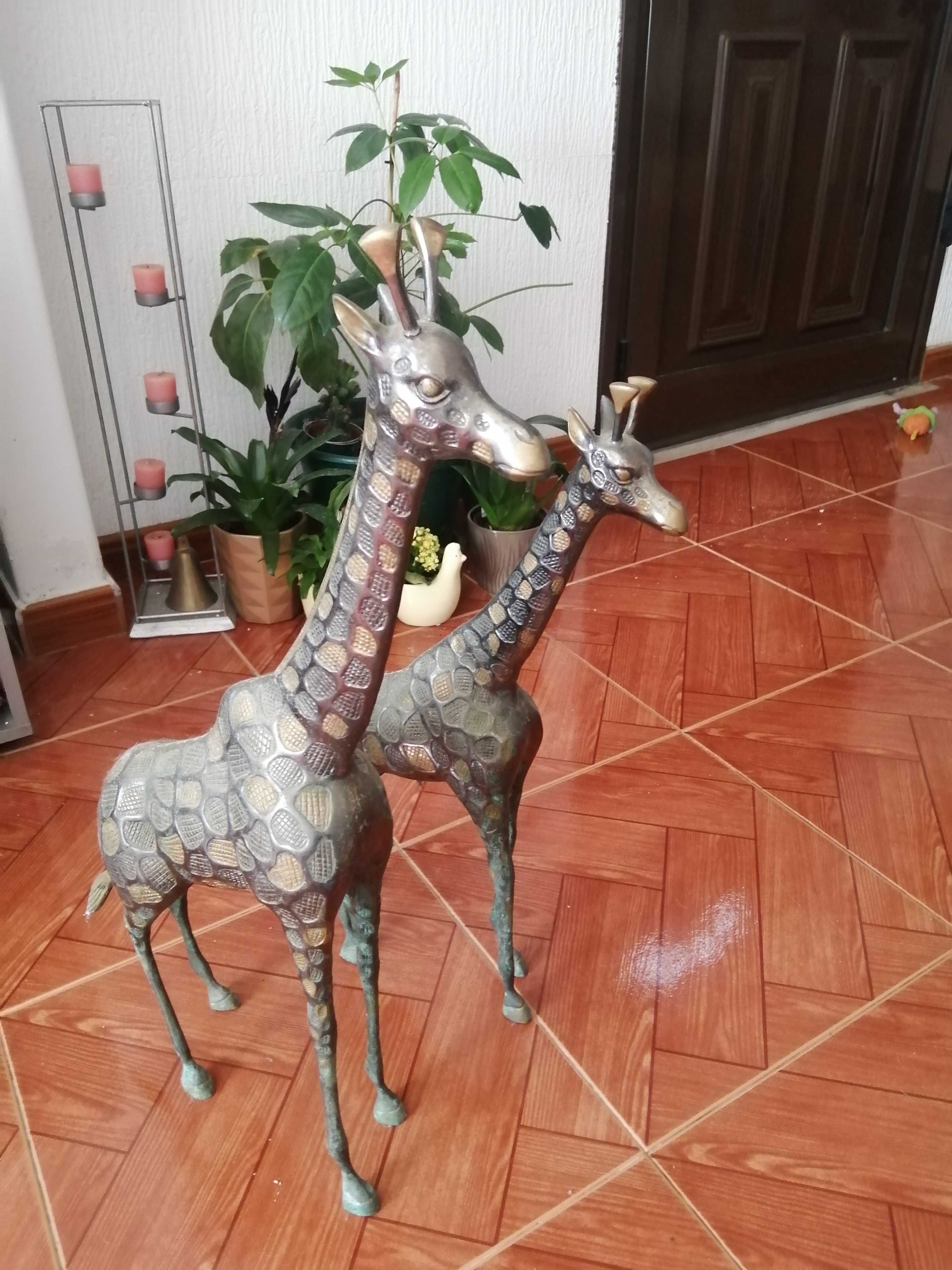 Girafas em bronze