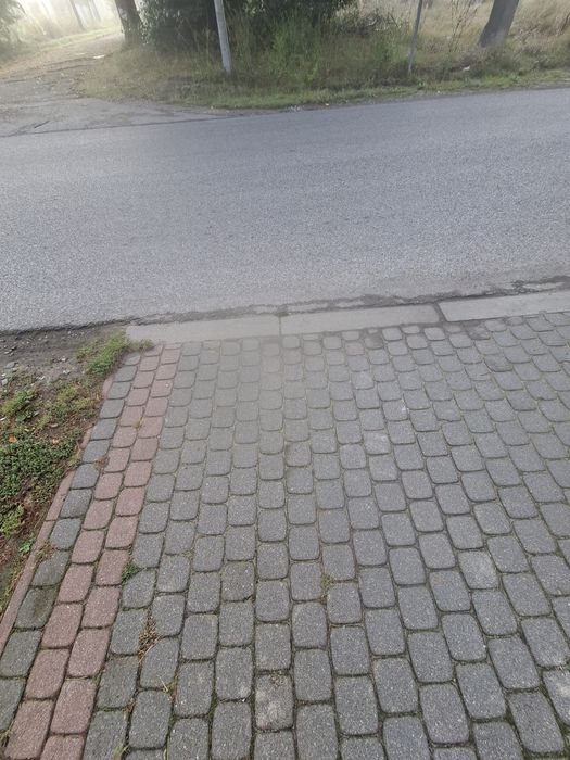 Kostka brukowa nostalit