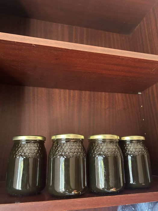 Mel caseiro de 1L - Urse