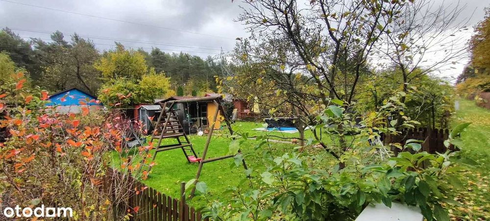 Działka na ROD Zalesie 1