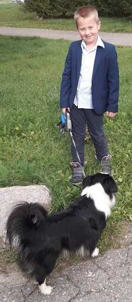 Wyprowadzanie psa na spacer w Koszalinie