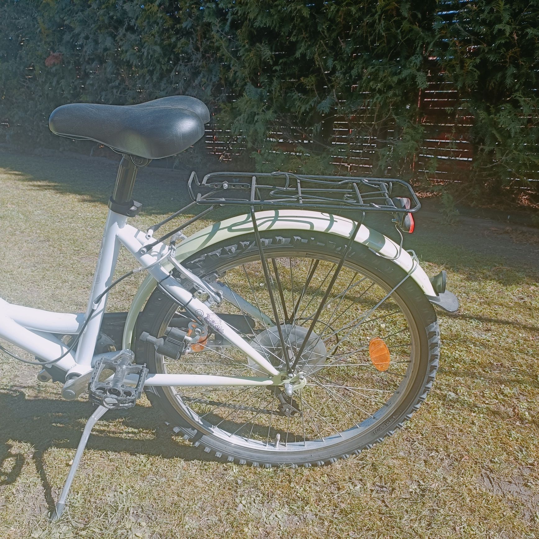 Rower climber 24