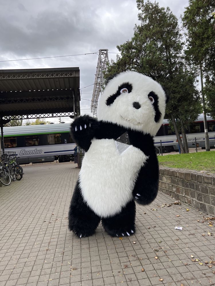 Kostium animatora Panda 2.6 m