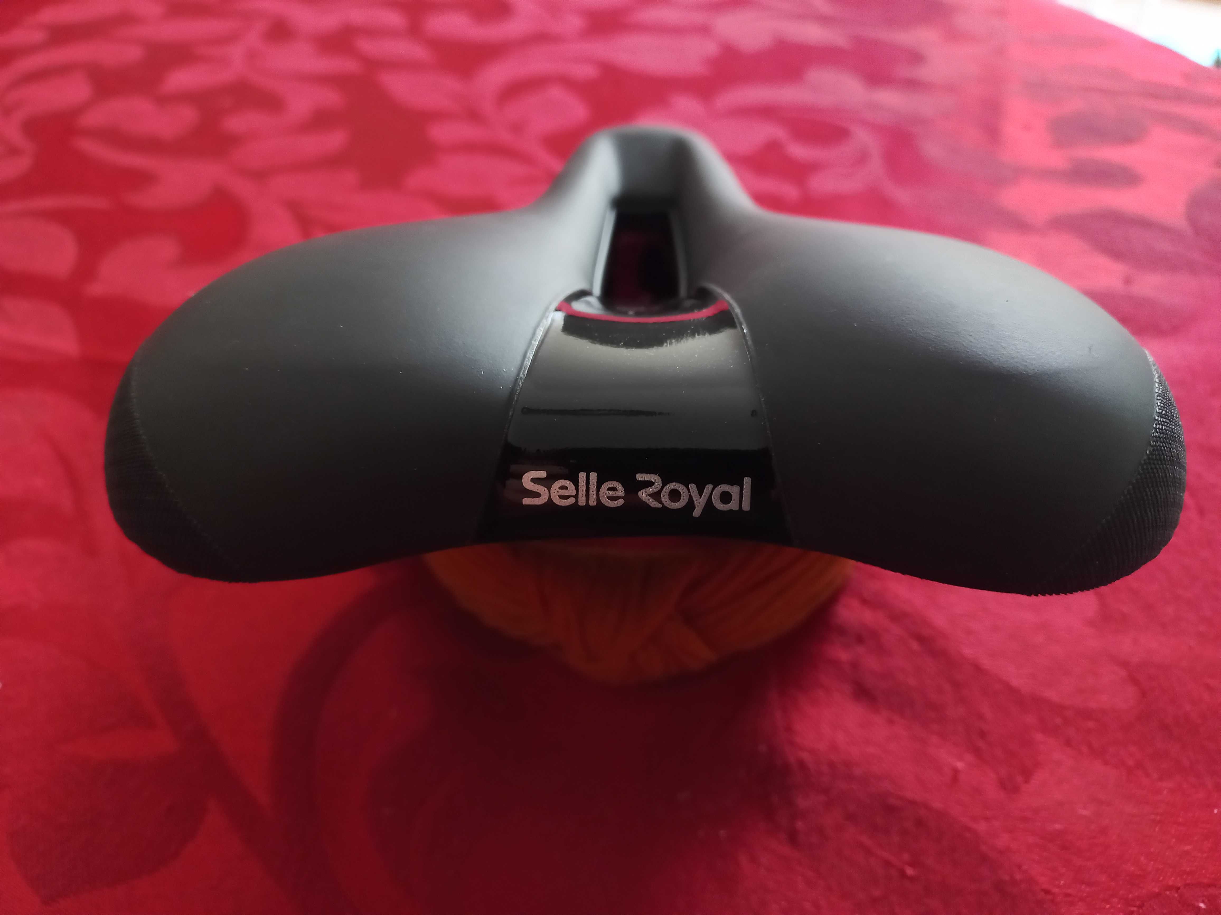 Sela de bicicleta