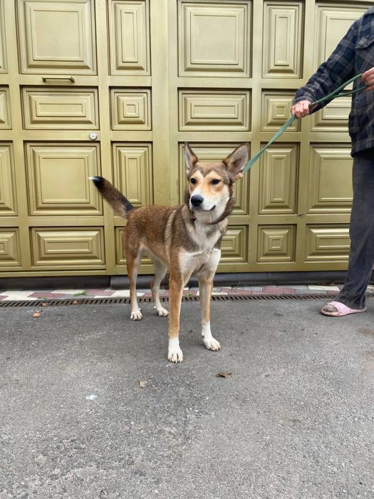 Матуся, де ти? Я так чєкаю на тебе!