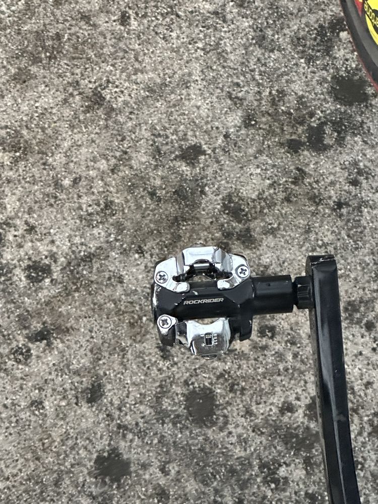 Raleigh C5 carbon