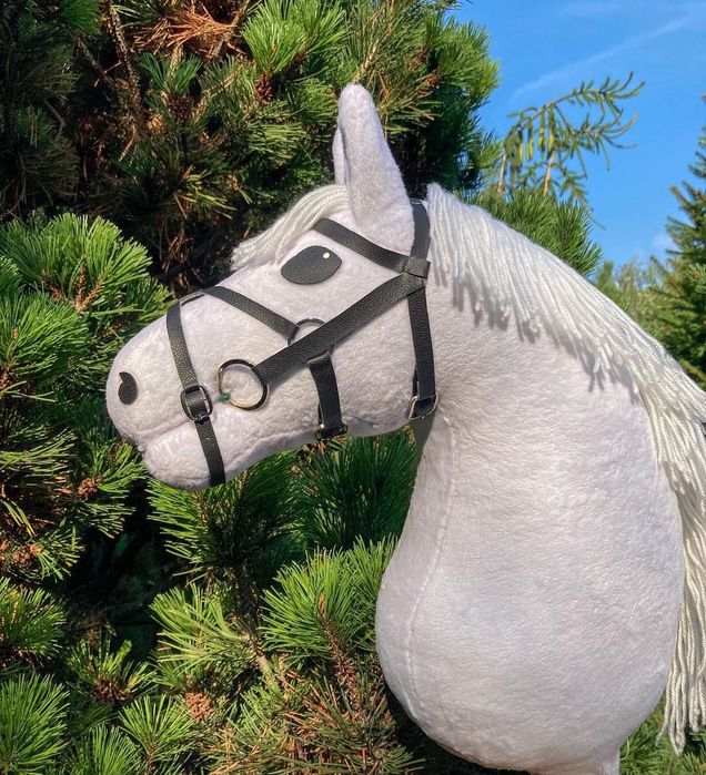 Хобіхорс/Кінь на палиці