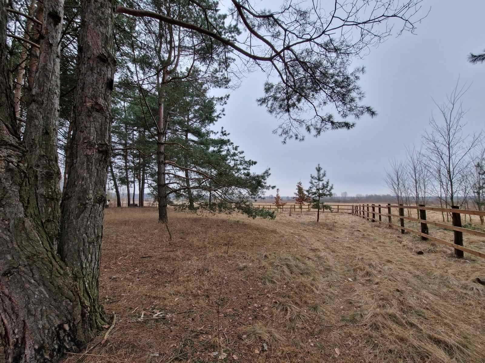 Будинок (ділянка) с.Ковалин, Київська обл.