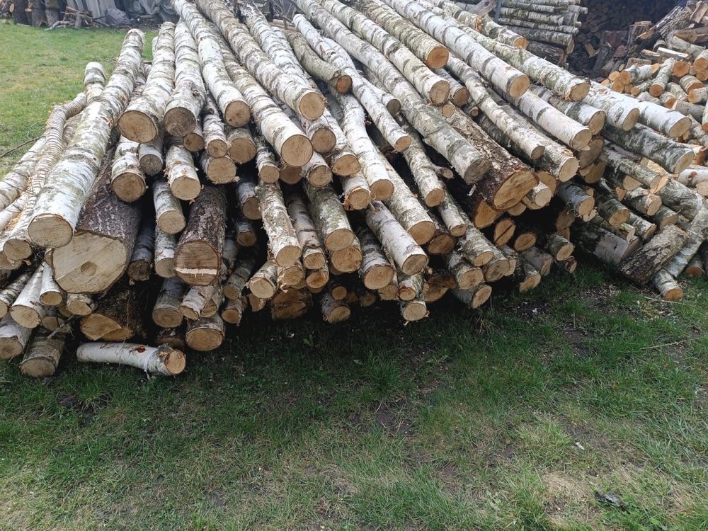 Sprzedam Drewno opałowe Brzoza osika Olcha 170zl