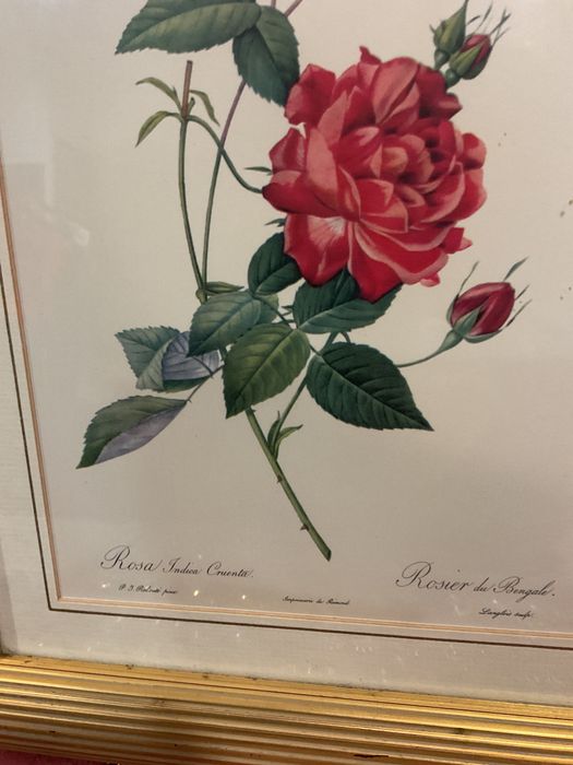 Quadros temas Rosa’s 38x32 valor de unidade