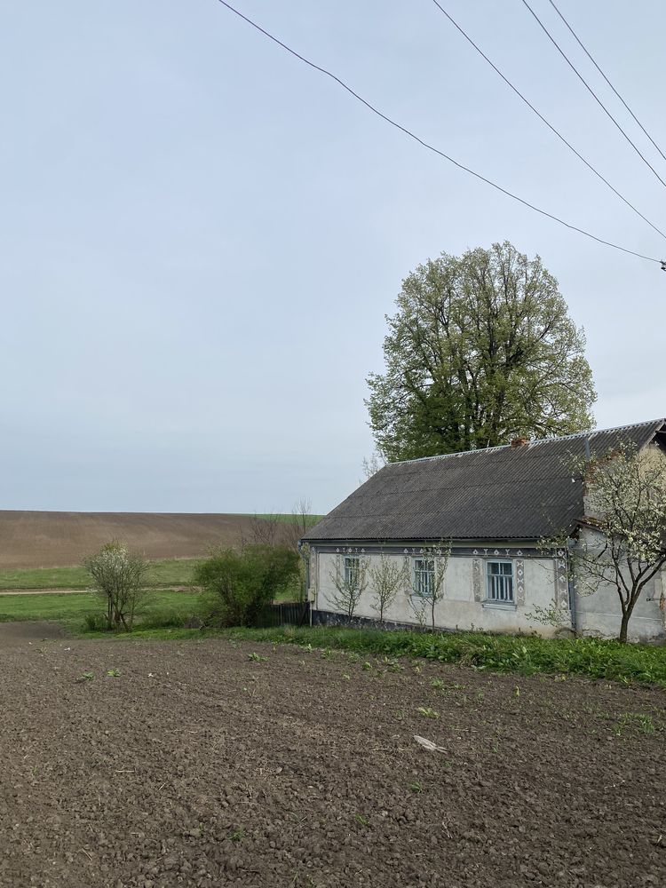 Продам будинок у селі Олишківці, Збаразького р-н., Тернопільської обл.