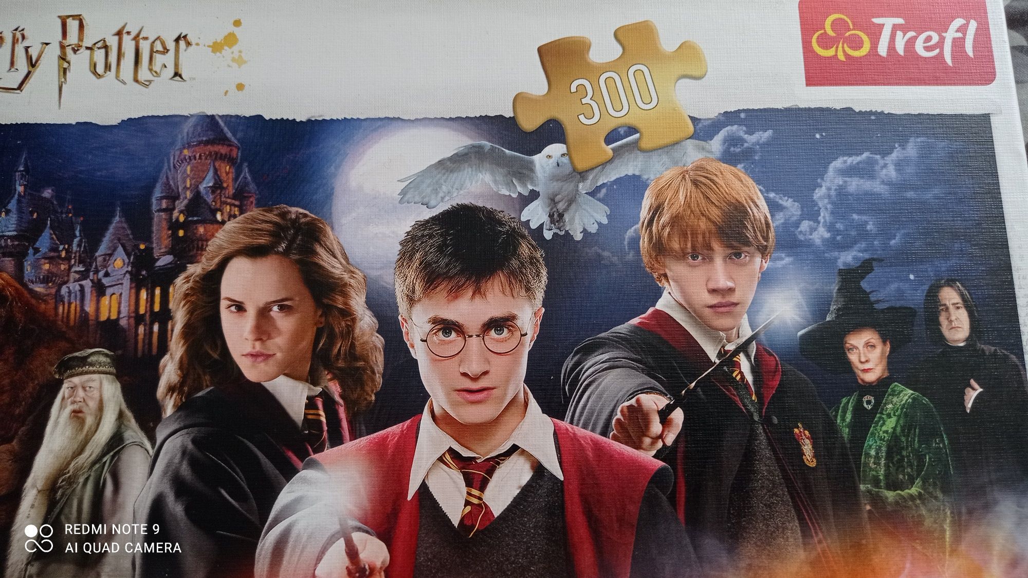 Puzzle Harry Potter