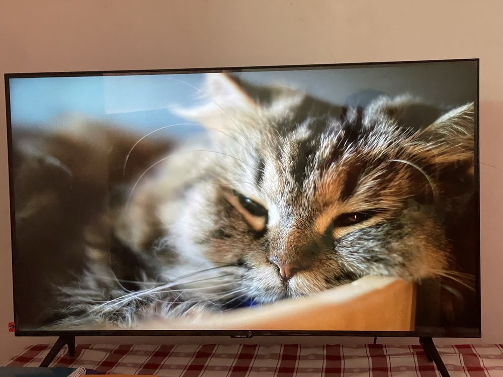 Smart TV Samsung 4K quase nova – ainda com garantia!