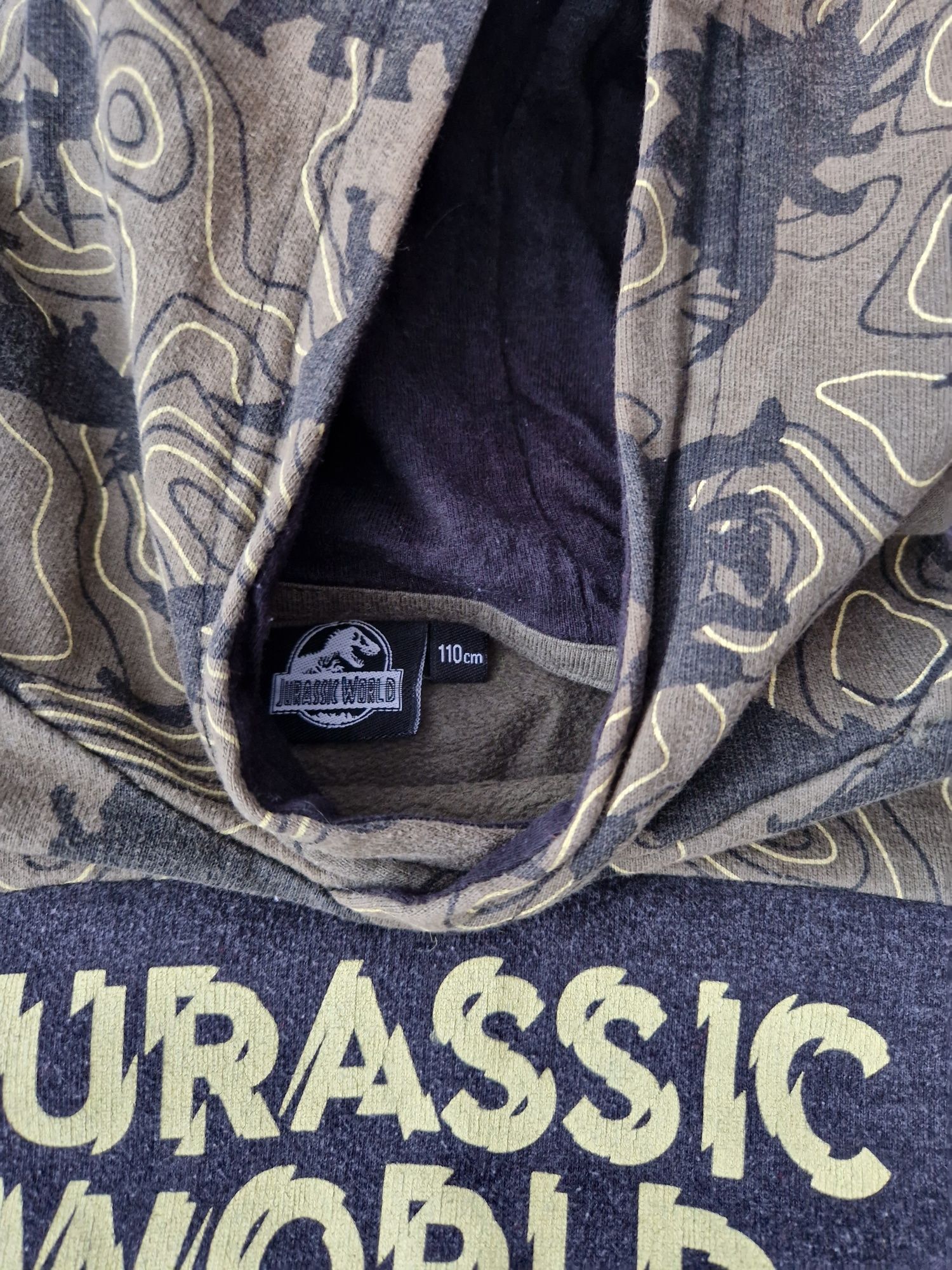 Bluza chlopięca dino jurassic world 110 rozm.