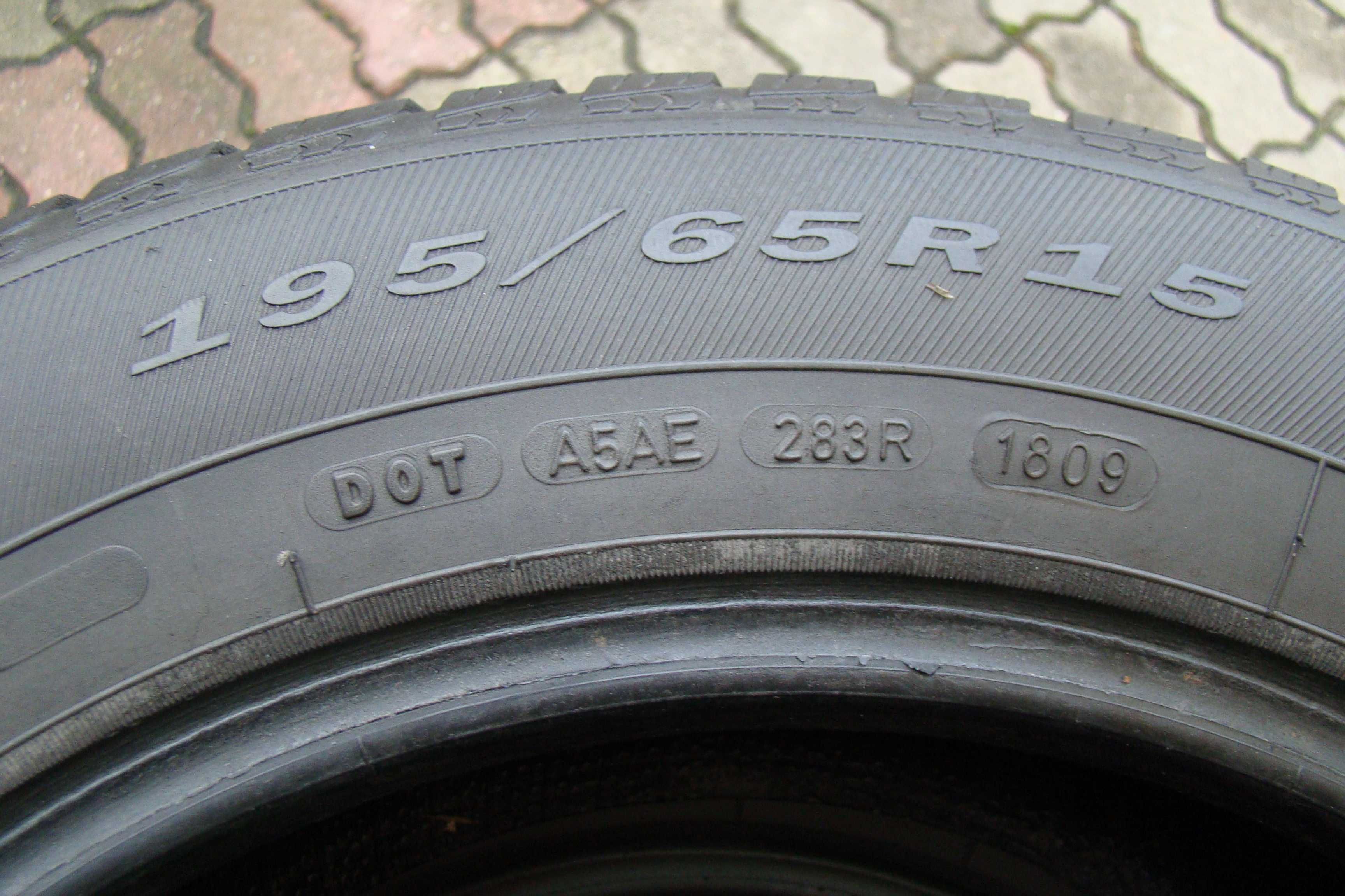 Opony zimowe Dębica Frigo 2 195/65R15