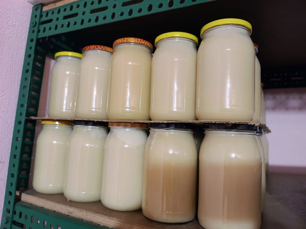 Miód Rzepakowy Mniszkowy Rzepakowo Mniszkowy zbiór 2025r, słoik 0,9L
