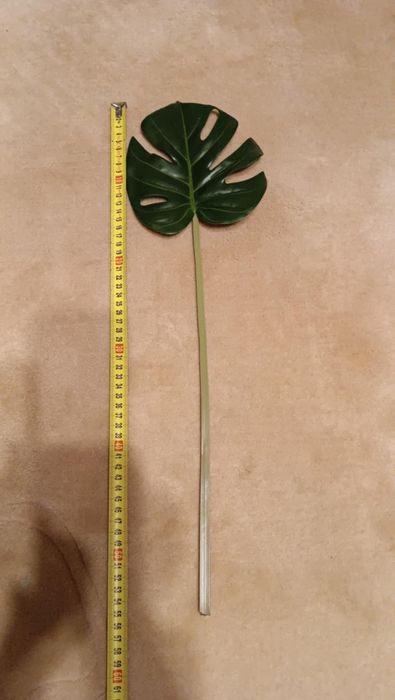 Sztuczne liście - różne rodzaje