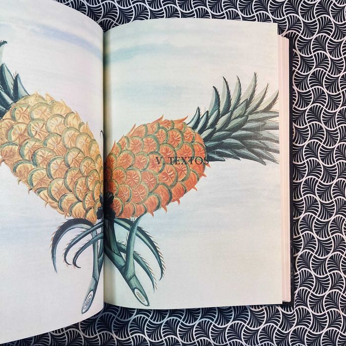 Terra Brasil 1500: A Viagem de Pedro Álvares Cabral