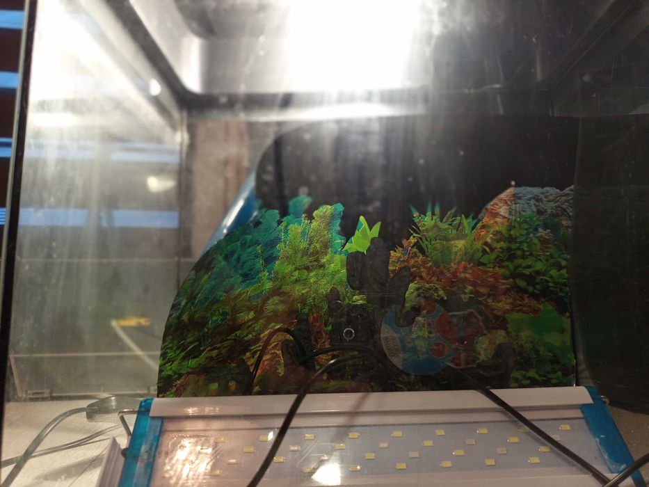 Akwarium mało używane