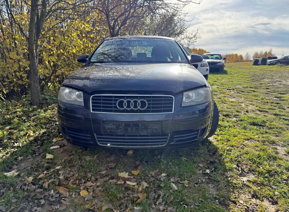 Audi a3 8P 1.6 benzyna