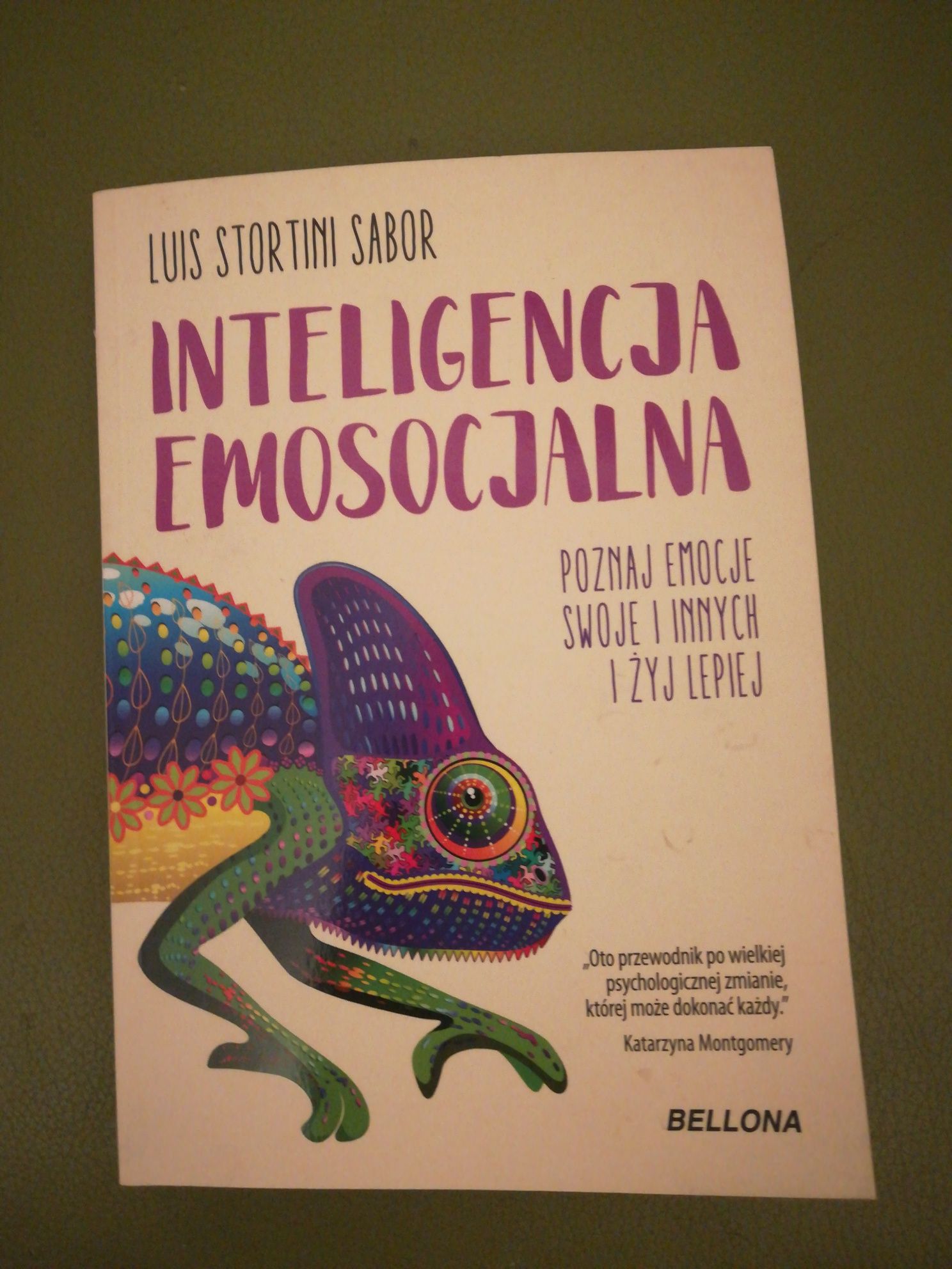 książka "Inteligencja emosocjalna" Luis Stortini Sabor