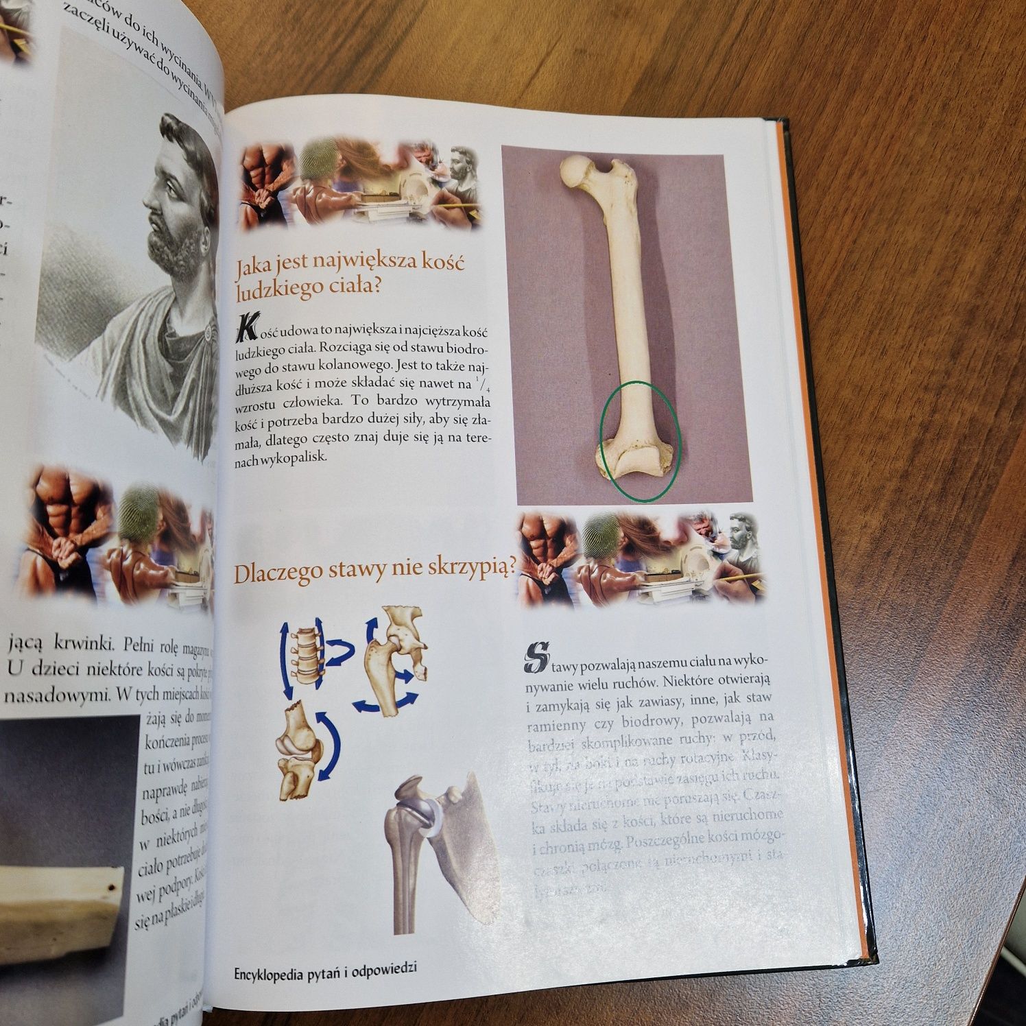 Encyklopedia pytań i odpowiedzi