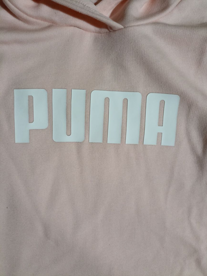 Camisola da puma nova com carapuço