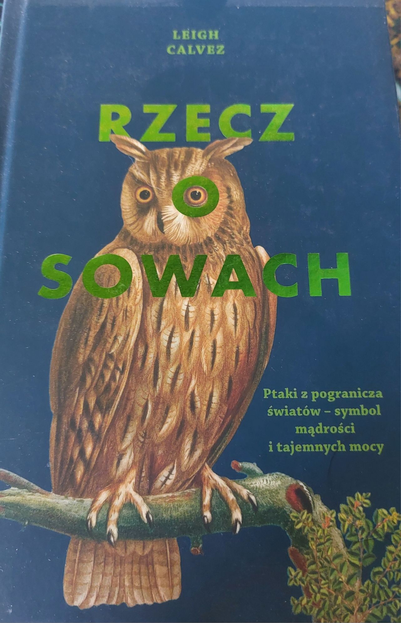 6 razy książki o drzewach, kotach, zwierzętach. Idealne!