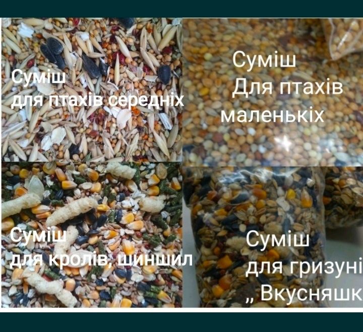домашні декоративні кроликии карликові манюні клітки