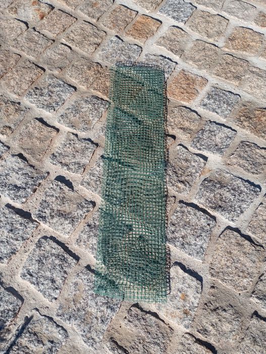 Rede proteção árvore