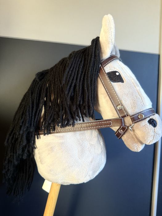 Konik do Hobby Horse