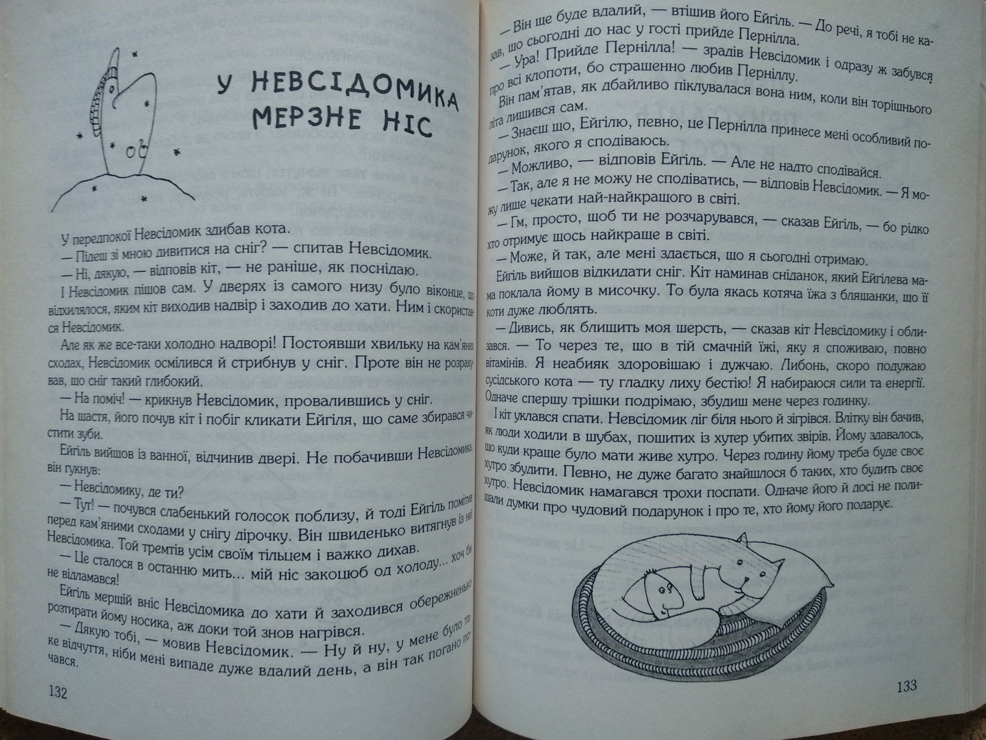 Бенні Андерсен "Пригоди Невсідомика"  дитяча книга