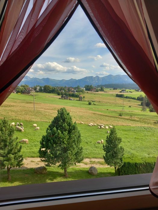 Wolne pokoje Od 28.12.25r. i na ferie zimowe, Zapraszamy serdecznie :)