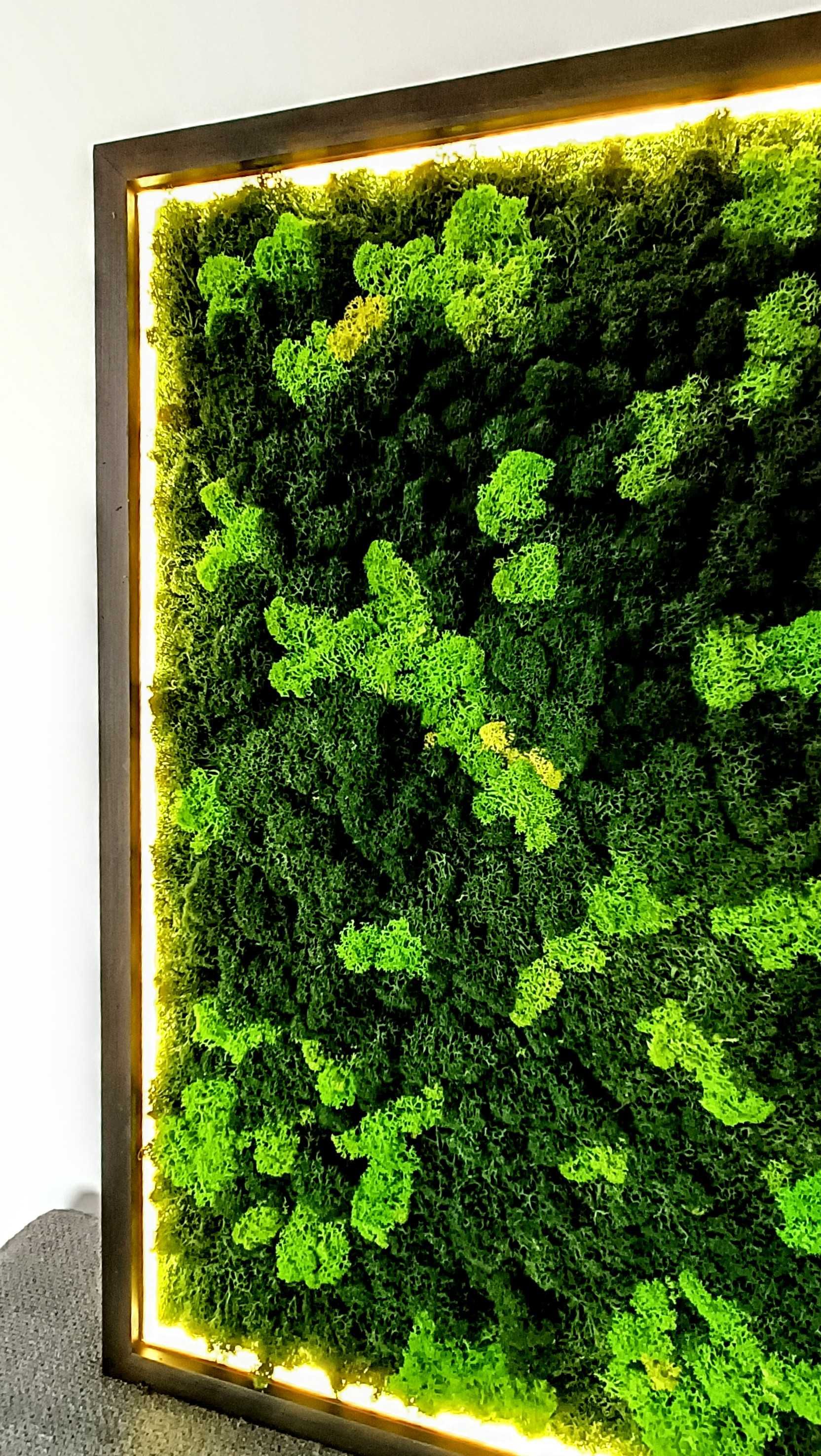 Rama podświetlona LED 100x40cm z mchem poduszkowym, chrobotkiem