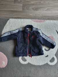 Bluza adidas 74-86