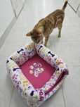 Cama toca para cão ou gato