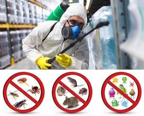 Дезинфекция, дезинсекция тараканов, блох, крыс. HACCP, газация складов