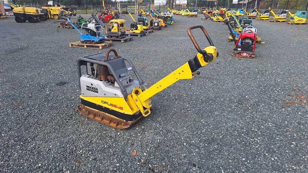2019 Zagęszczarka Ubijak WACKER NEUSON DPU 5545 He 6555 Nr 890 wolf