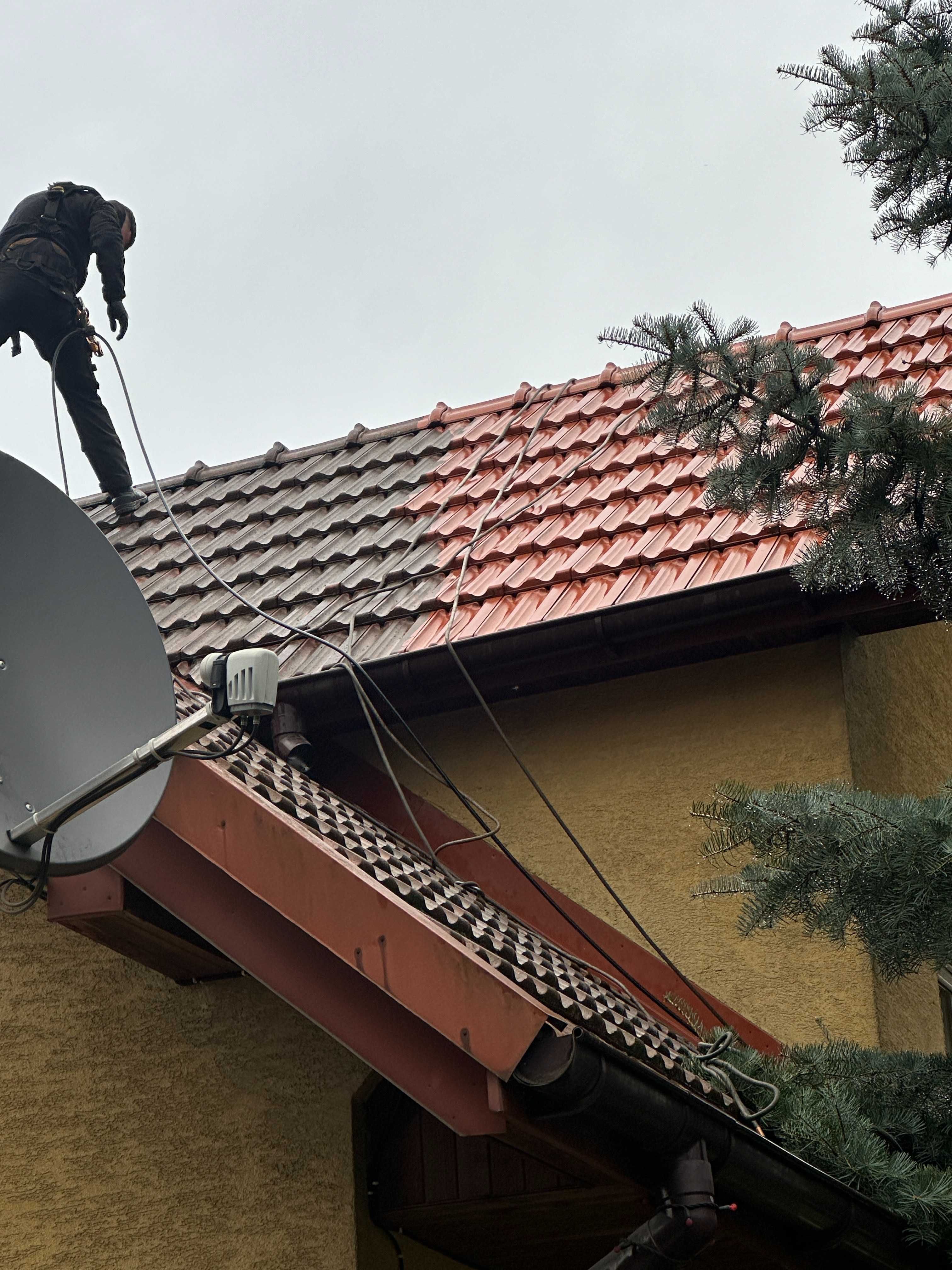 Mycie Impregnacja Malowanie Dachów i Elewacji