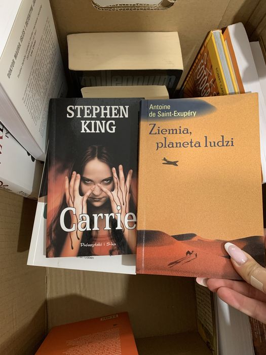 Karton Pudło książek 17 sztuk