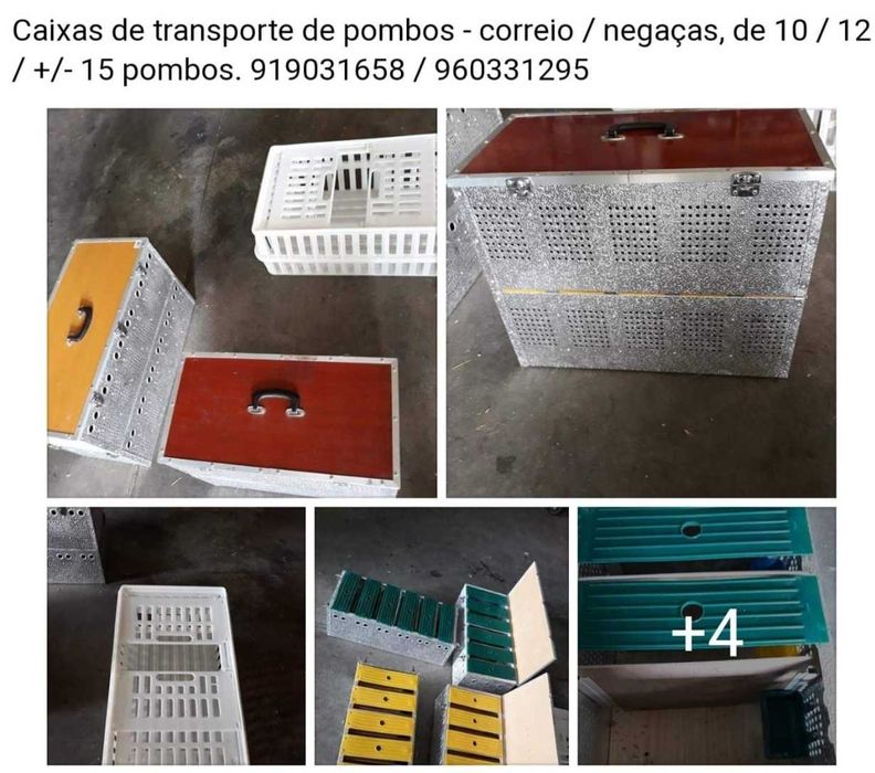 Caixas Transporte  pombos de vara com bebedouros individuais...