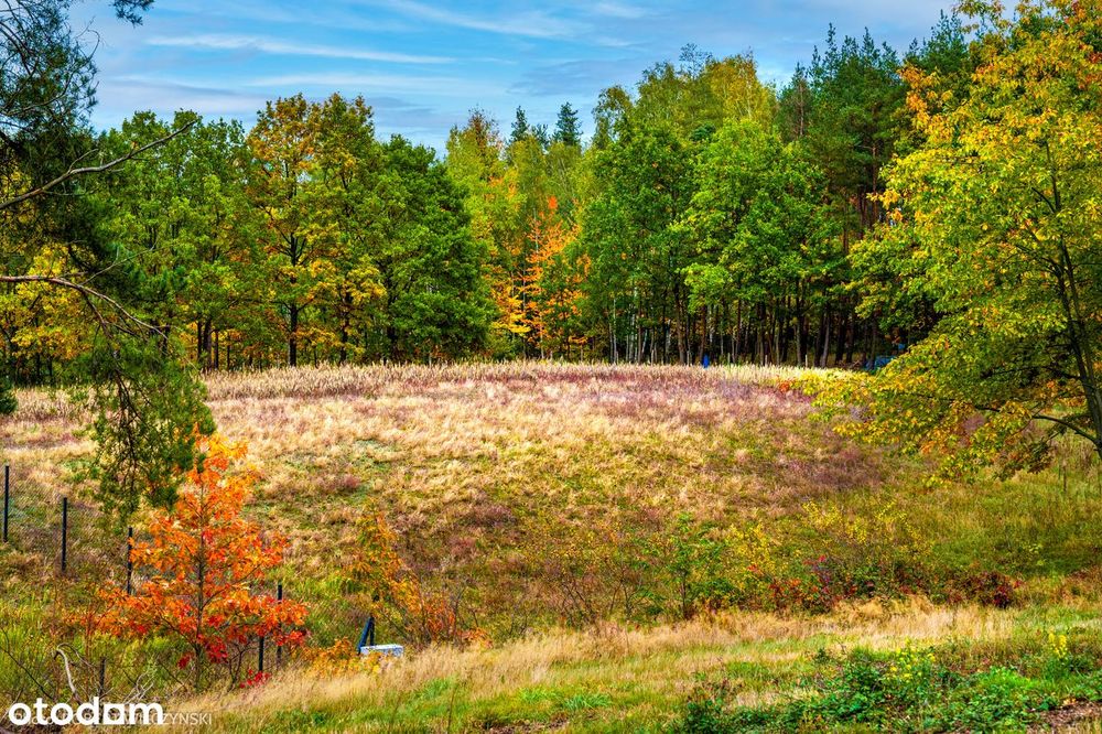 Mazowsze – działka marzeń na wzgórzu, las i cisza.