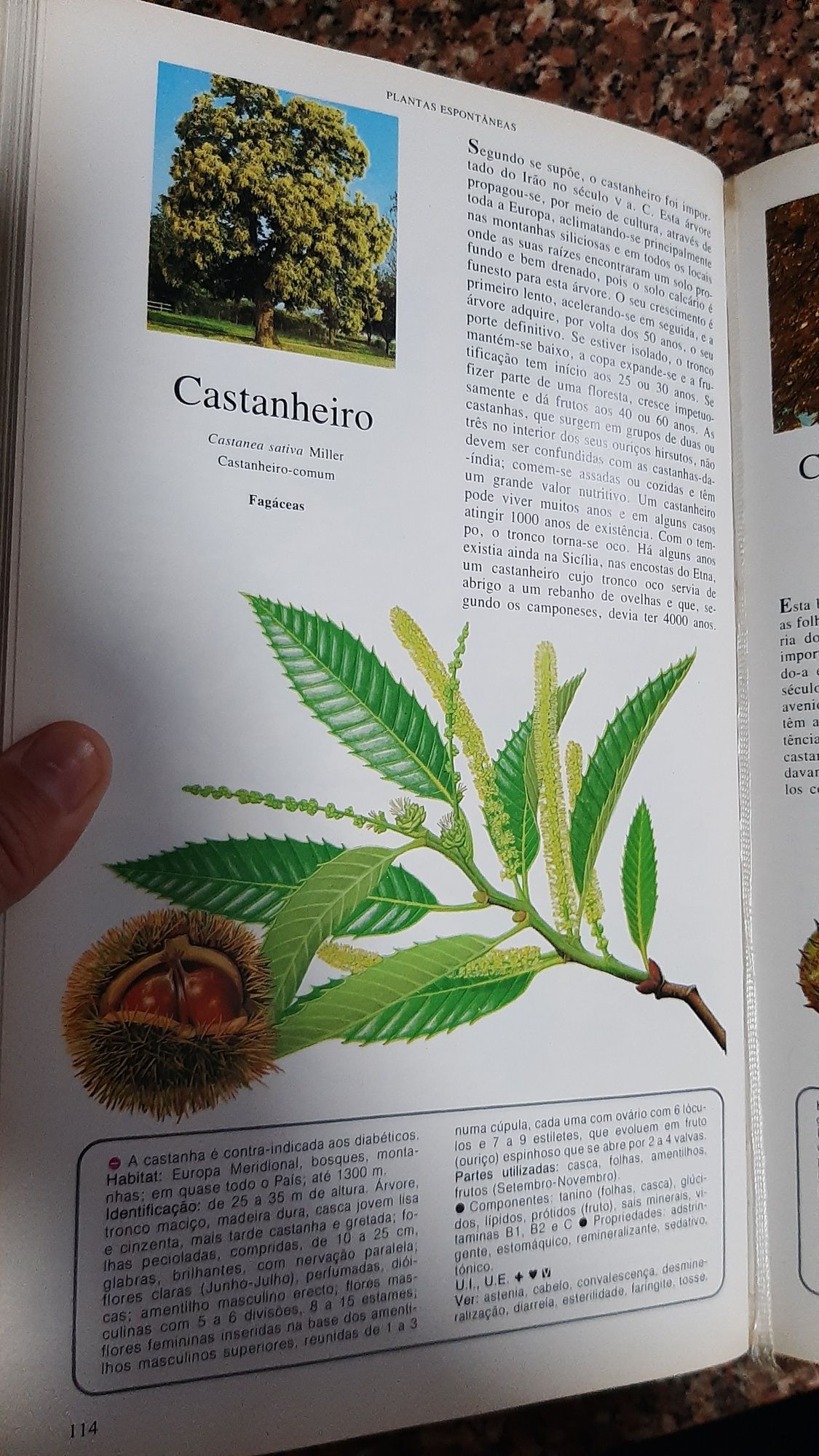 Livro "Segredos e virtudes das plantas medicinais"