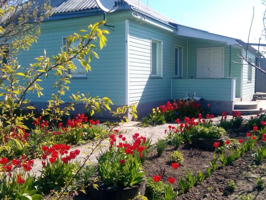 Будинок біля річки