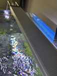 Aquario plantado 112L completo com movel